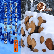 双十一吉他攻略·国表里吉他保举·新手初