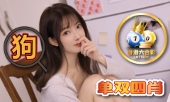 2022全年免费材料大全 - 2022全年免费材料大全春节